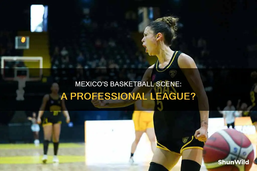 does mexico have a basketball league