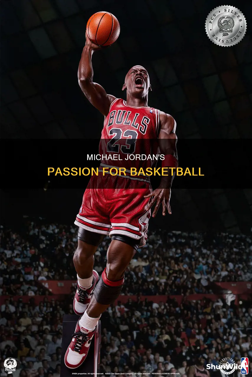does michael jordan like basketball
