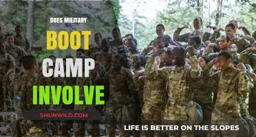 Unveiling the Rigors: What Does Military Boot Camp Really Involve?