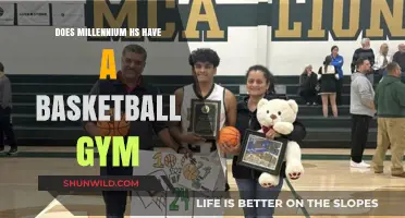 Millennium HS: Basketball Gym Availability and Features