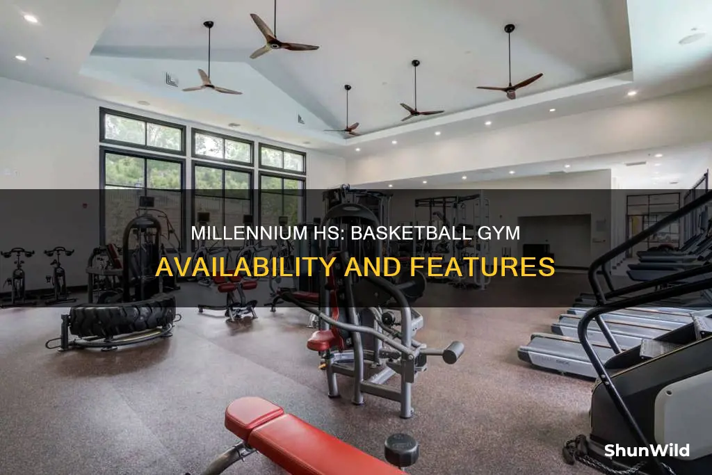 does millennium hs have a basketball gym