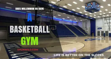 Basketball Gym Availability at Millennial High Schools