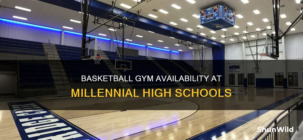 does millenniun hs have a basketball gym
