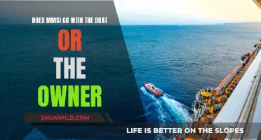 MMSI: What's the Deal? Boat or Owner?