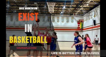 Momentum's Impact: Basketball's Unseen Force