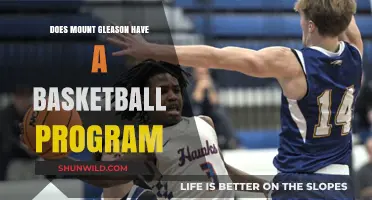 Mount Gleason Basketball: What's the Deal?