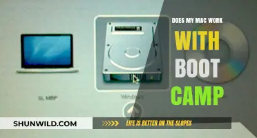 Can Your Mac Run Windows? Boot Camp Compatibility Explained