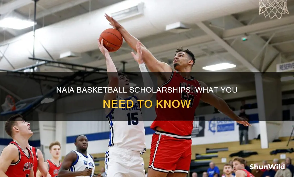 does naia give basketball scholarships