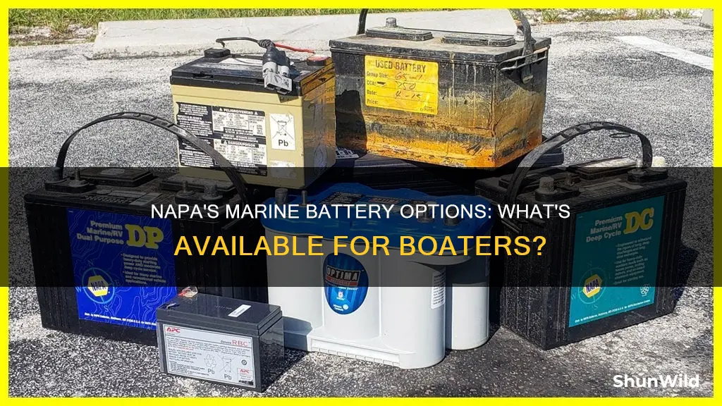 does napa sell boat batteries