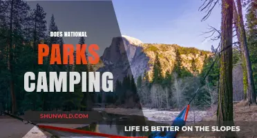 Exploring Nature: The Ultimate Guide to National Parks Camping Adventures