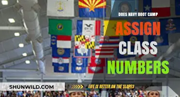 Navy Boot Camp Class Numbers: How Are They Assigned?