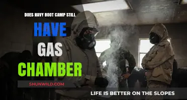 Navy Boot Camp Gas Chamber: Current Practices and Training Realities