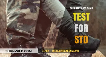 Navy Boot Camp STD Testing: What You Need to Know