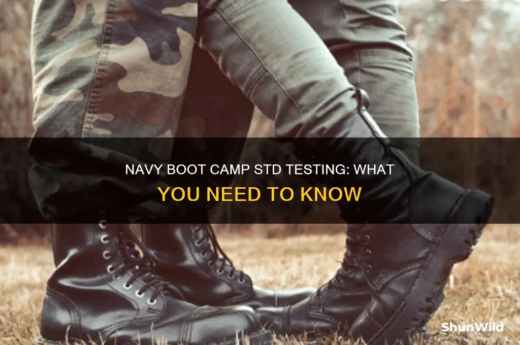 does navy boot camp test for std