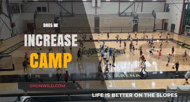 Exploring the Impact of NE on cAMP Levels: Insights and Analysis