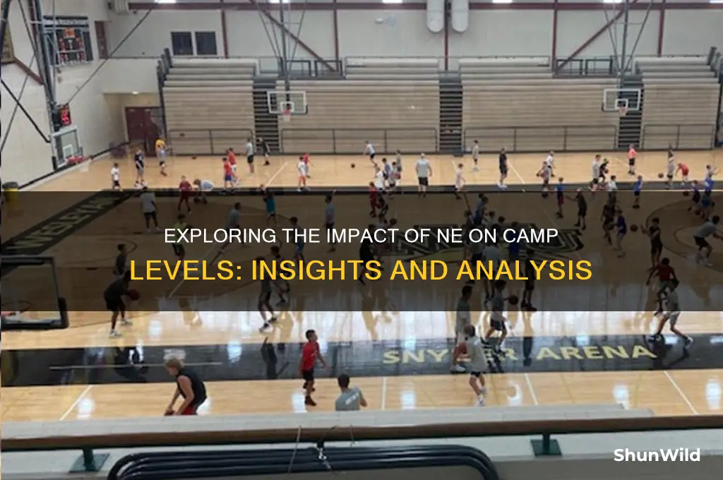 does ne increase camp