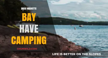 Camping at Niquette Bay: Availability, Options, and What to Expect