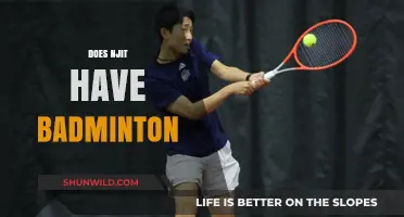 NJIT Badminton: Is It Available?