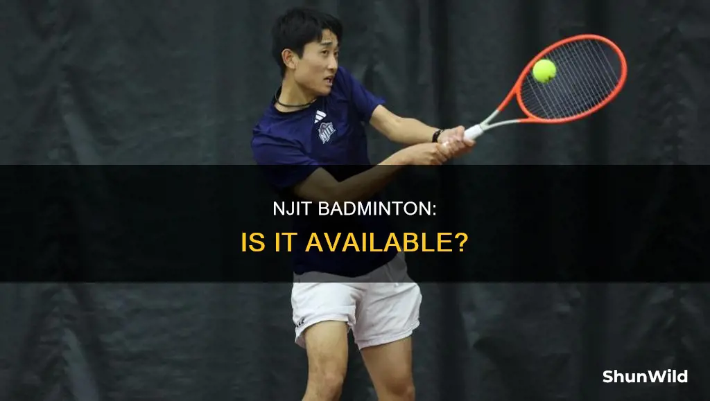 does njit have badminton