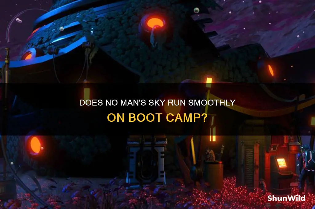 does no man