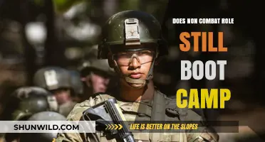 Non-Combat Roles: Do They Still Require Boot Camp Training?
