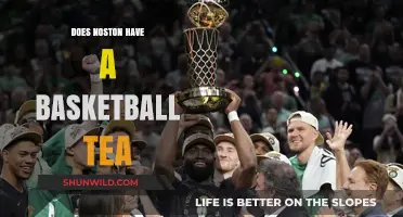 Boston Celtics: A Basketball Legacy
