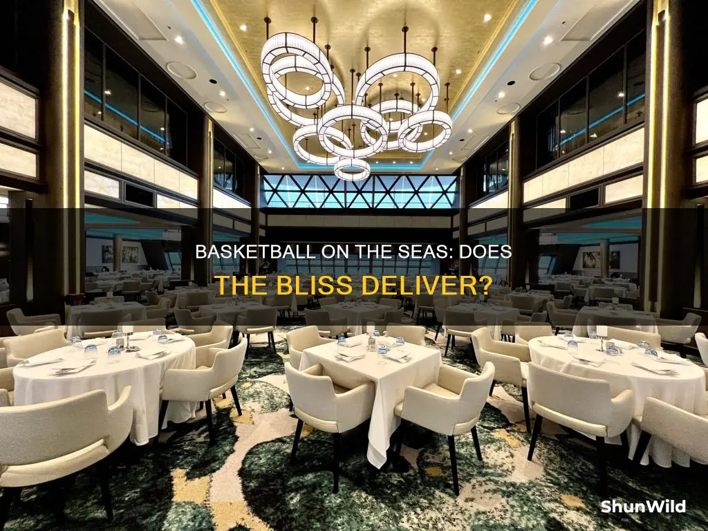 does nthe ncl bliss have basketball