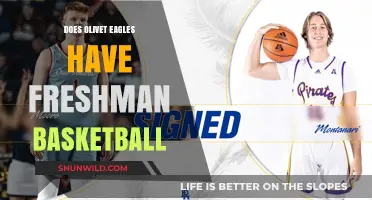 Freshman Basketball: Olivet Eagles' Future Stars?