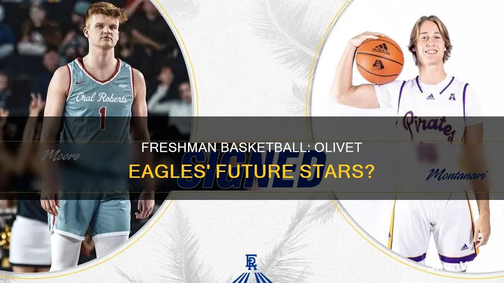 does olivet eagles have freshman basketball