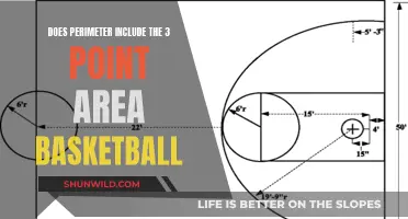 Exploring the Perimeter: 3-Point Line's Impact on Basketball Strategy