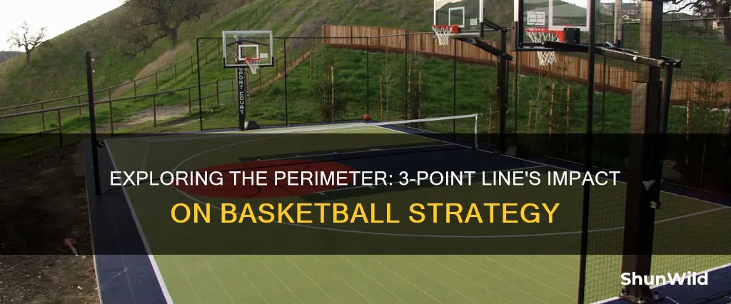 does perimeter include the 3 point area basketball