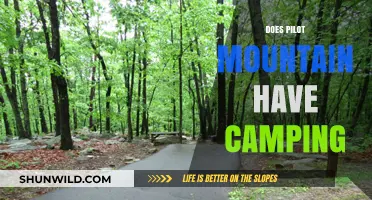 Pilot Mountain Camping Guide: Options, Tips, and What to Expect