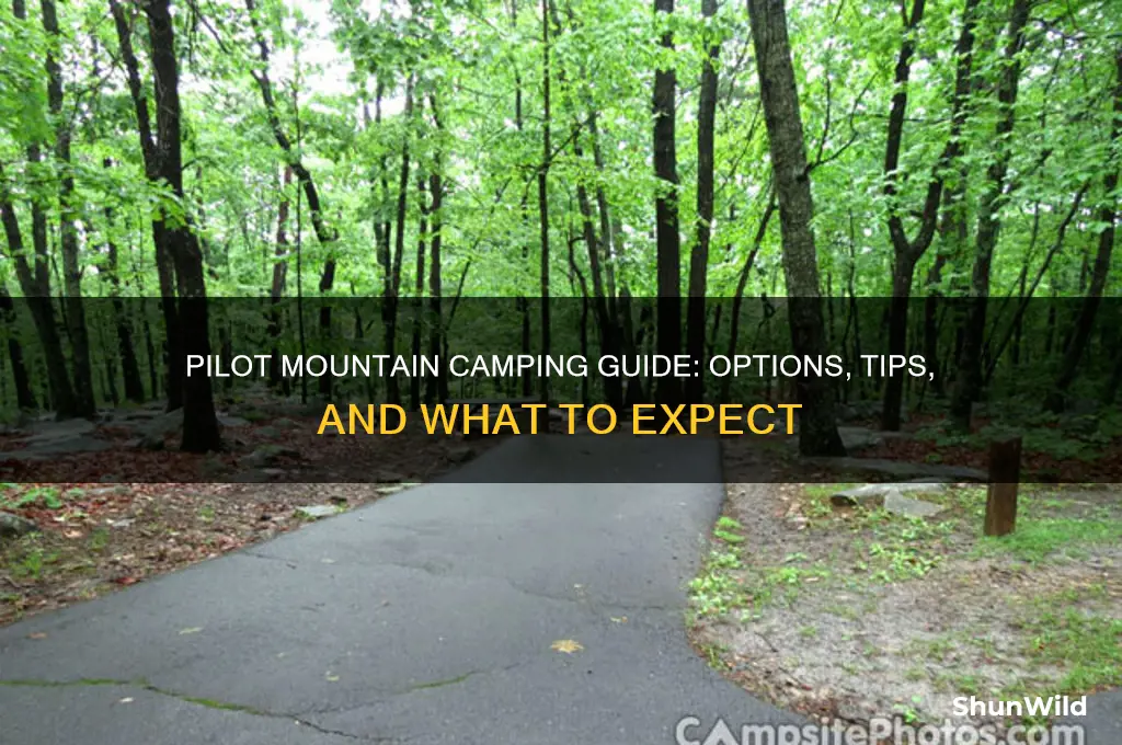 does pilot mountain have camping