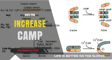 Does pKa Influence cAMP Levels? Exploring the Intricate Relationship