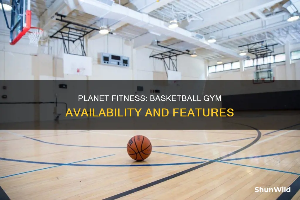 does planet fitness have a basketball gym