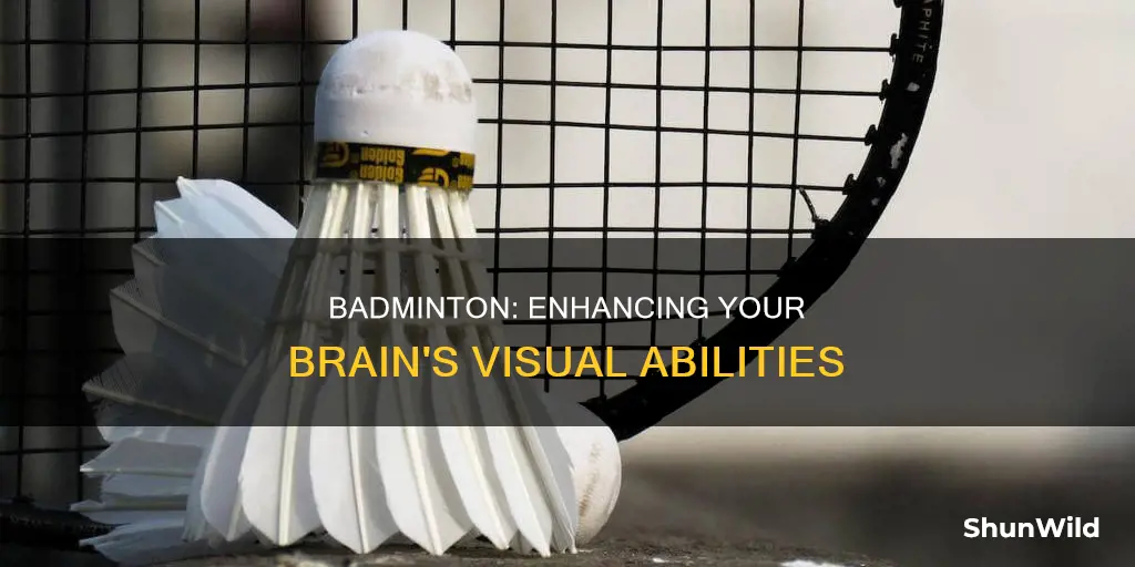 does playing badminton improve visuospatial skills