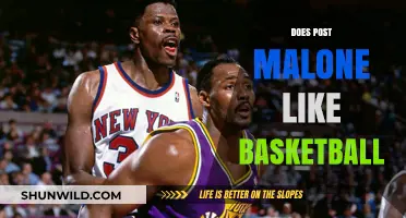 Post Malone's Love for Basketball: A Deep Dive