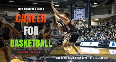 Princeton Basketball: A Career Path?