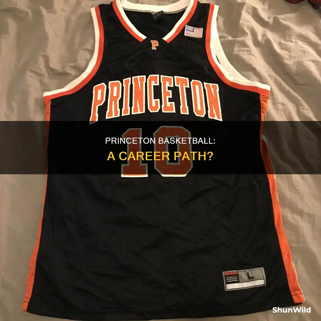 does princeton have a career for basketball
