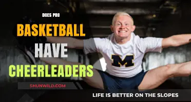Cheerleaders: An Integral Part of Pro Basketball