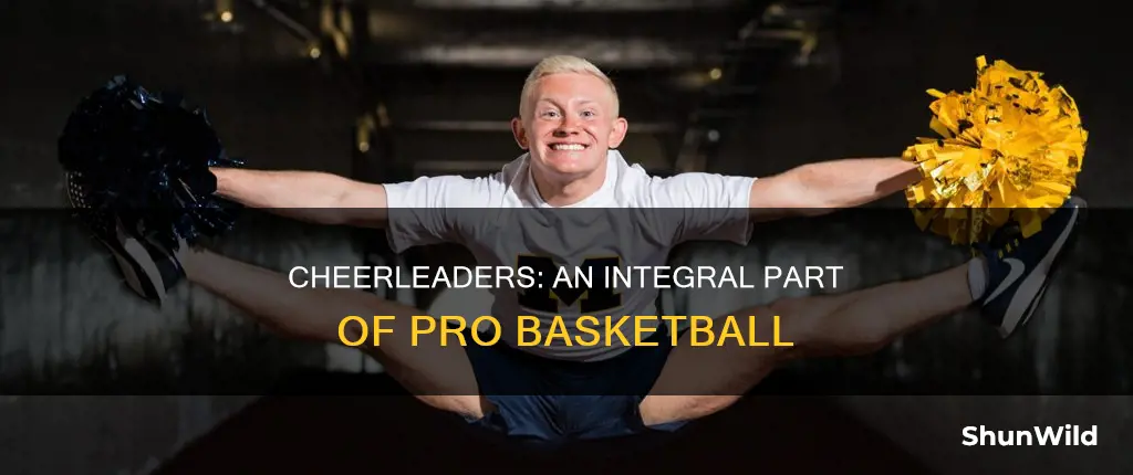 does pro basketball have cheerleaders