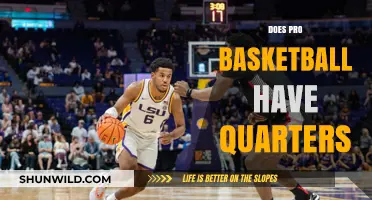 Basketball Quarters: Pro Game Structure Explored