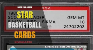 PSA Grading: The Ultimate Guide to Basketball Card Authentication