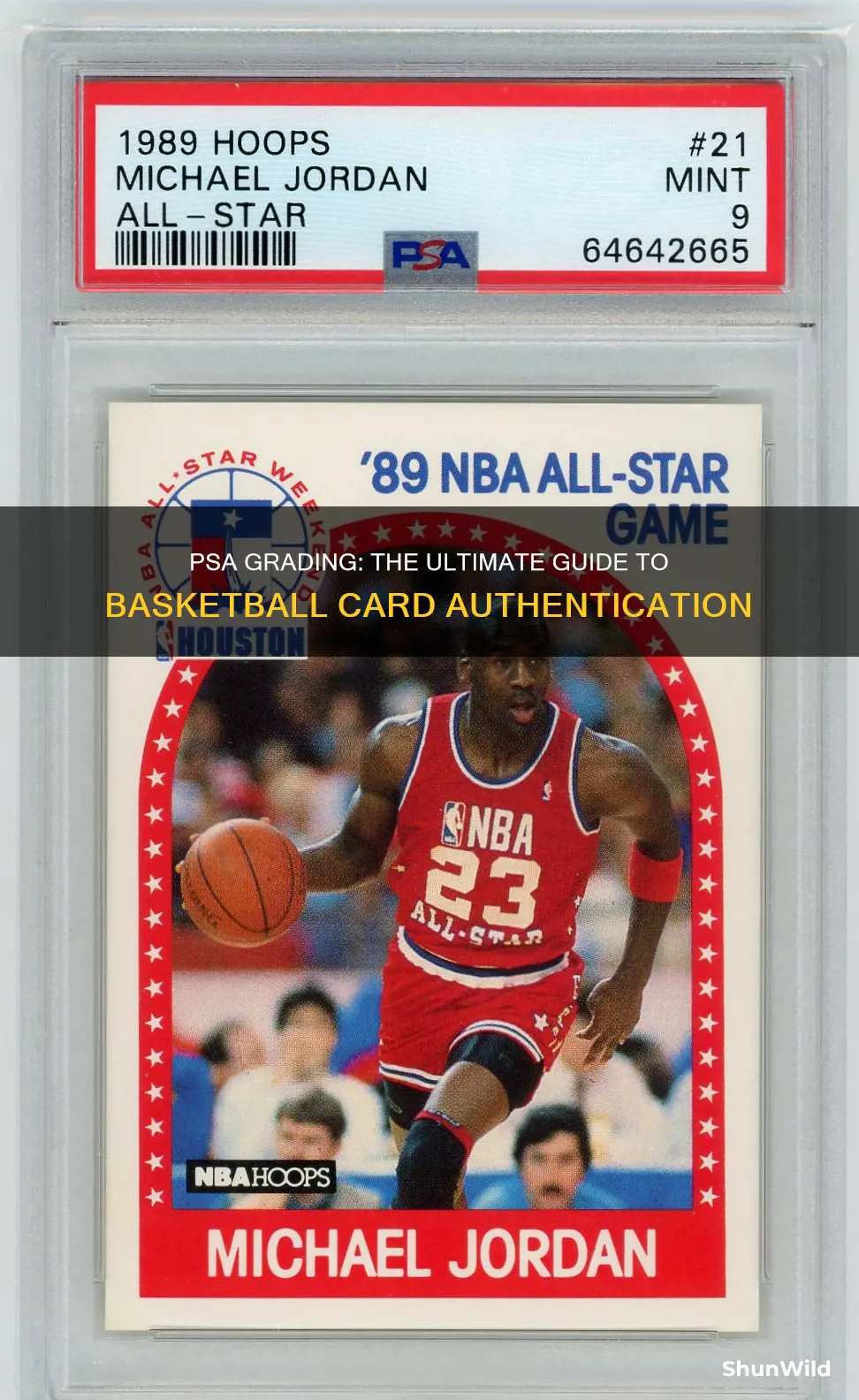 does psa grade star basketball cards