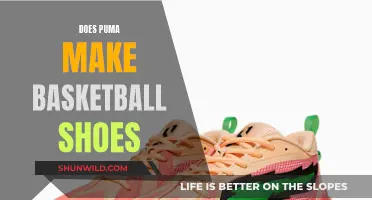 Puma's Basketball Shoes: Exploring Their Place in the Market