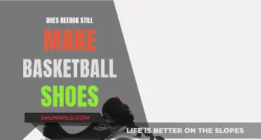 Reebok Basketball Shoes: Still in the Game?