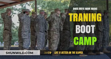 ROTC vs. Boot Camp: Understanding Basic Training Requirements and Differences