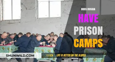 Russia's Prison Camps: Uncovering the Truth Behind the Barbed Wire