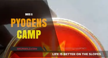 Does S. Pyogenes Camp: Unraveling the Truth Behind the Myth