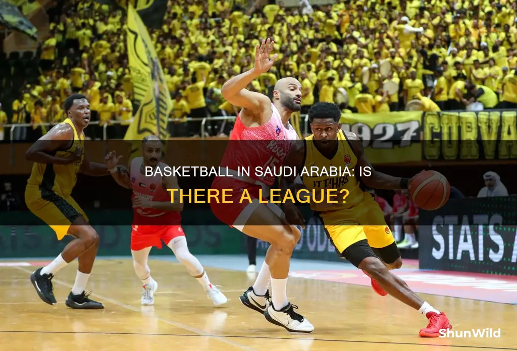 does saudi arabia have a basketball league